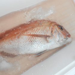 こうゆう丸 釣果