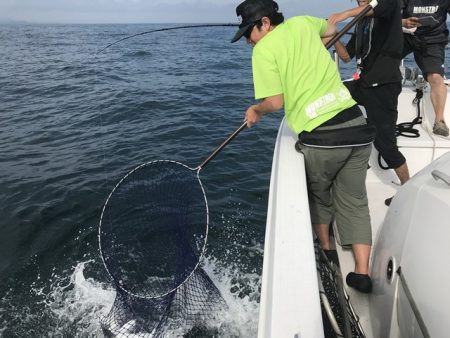 TOPGUN衣浦 釣果