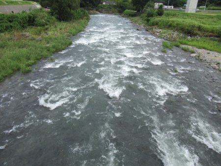 狩野川(狩野川漁業協同組合) 釣果