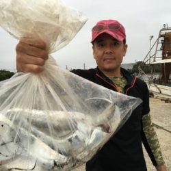 ミタチ丸 釣果