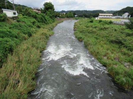 狩野川(狩野川漁業協同組合) 釣果