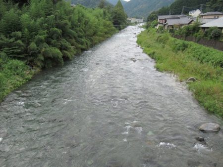 狩野川(狩野川漁業協同組合) 釣果