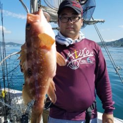 遊漁船　ニライカナイ 釣果