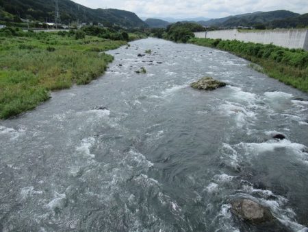 狩野川(狩野川漁業協同組合) 釣果