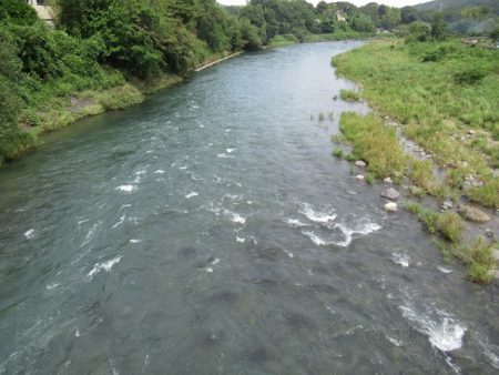 狩野川(狩野川漁業協同組合) 釣果