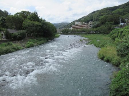 狩野川(狩野川漁業協同組合) 釣果