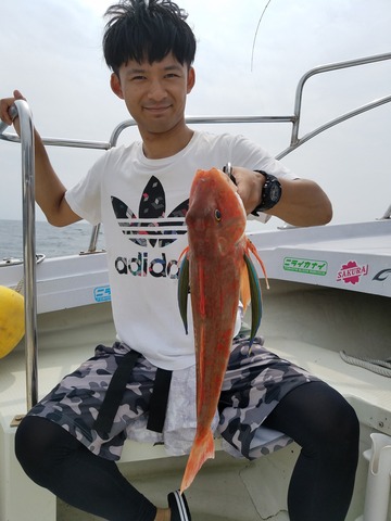 遊漁船　ニライカナイ 釣果