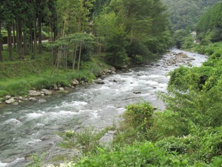 狩野川(狩野川漁業協同組合) 釣果