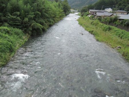 狩野川(狩野川漁業協同組合) 釣果