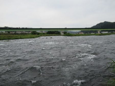 狩野川（狩野川漁業協同組合） 釣果