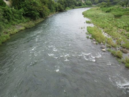 狩野川(狩野川漁業協同組合) 釣果