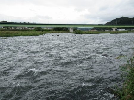狩野川（狩野川漁業協同組合） 釣果