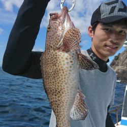 シードリーム 釣果