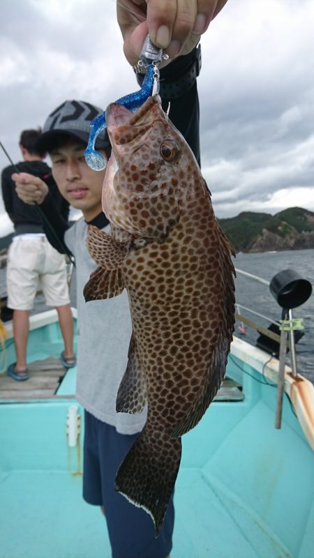 シードリーム 釣果