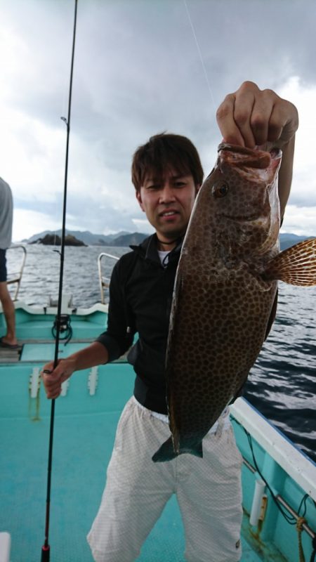 シードリーム 釣果