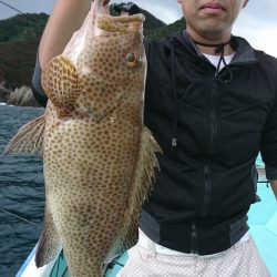 シードリーム 釣果