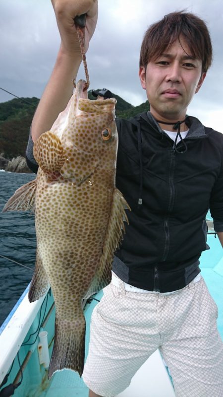 シードリーム 釣果