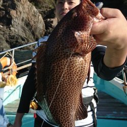 シードリーム 釣果