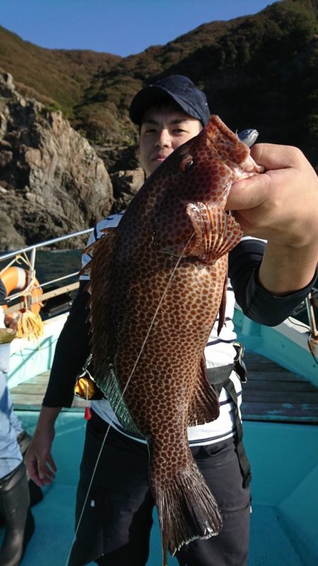 シードリーム 釣果