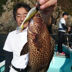 シードリーム 釣果