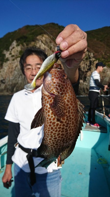 シードリーム 釣果