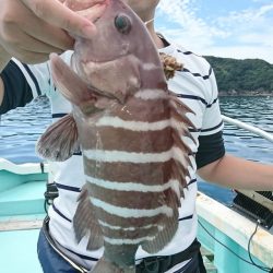 シードリーム 釣果