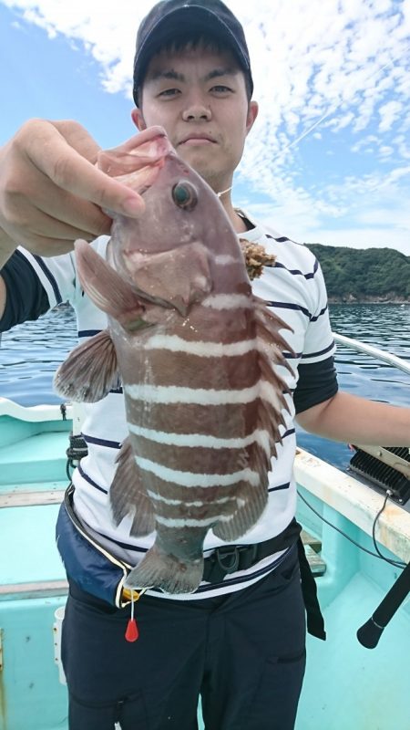 シードリーム 釣果