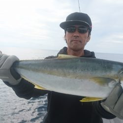 ブルーズ 釣果