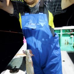 第三むつりょう丸 釣果