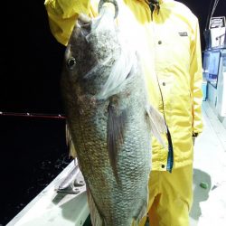 第三むつりょう丸 釣果