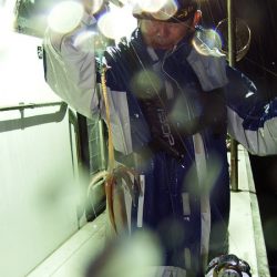 第三むつりょう丸 釣果