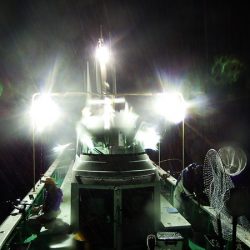 第三むつりょう丸 釣果