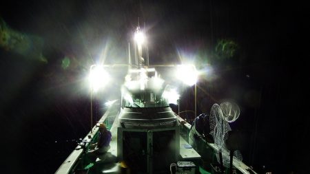 第三むつりょう丸 釣果