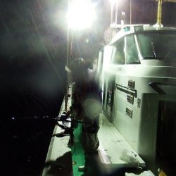 第三むつりょう丸 釣果