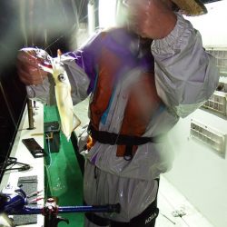 第三むつりょう丸 釣果