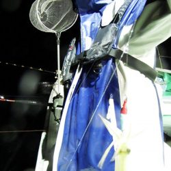 第三むつりょう丸 釣果