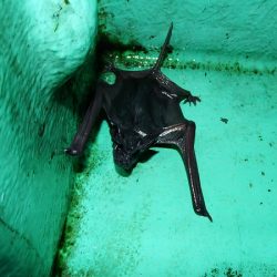 第三むつりょう丸 釣果