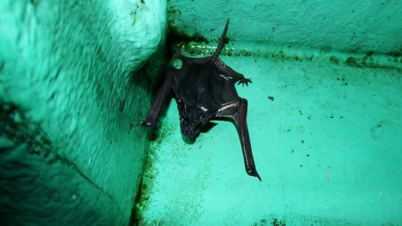 第三むつりょう丸 釣果