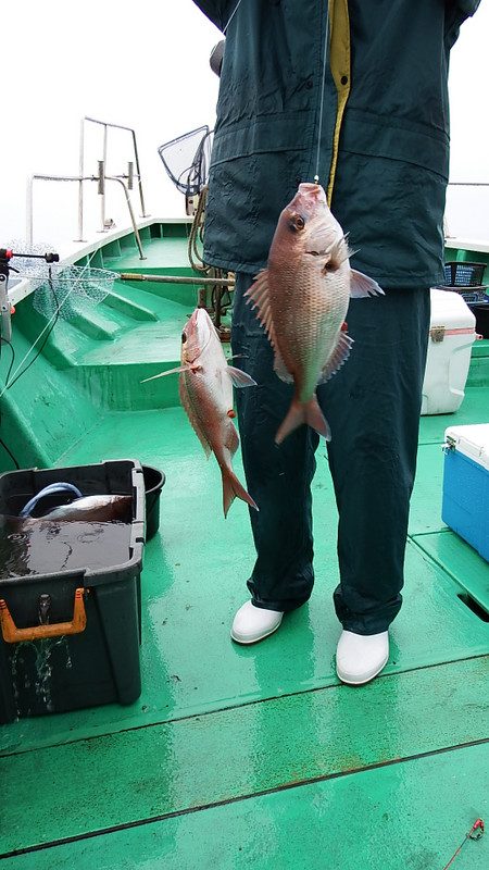 第三むつりょう丸 釣果