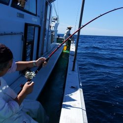 第三むつりょう丸 釣果