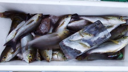 第三むつりょう丸 釣果