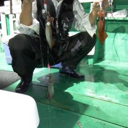 第三むつりょう丸 釣果