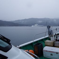 第三むつりょう丸 釣果