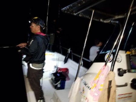 Magic（マジック） 釣果