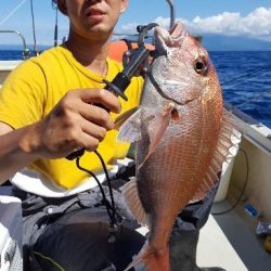 海峰 釣果