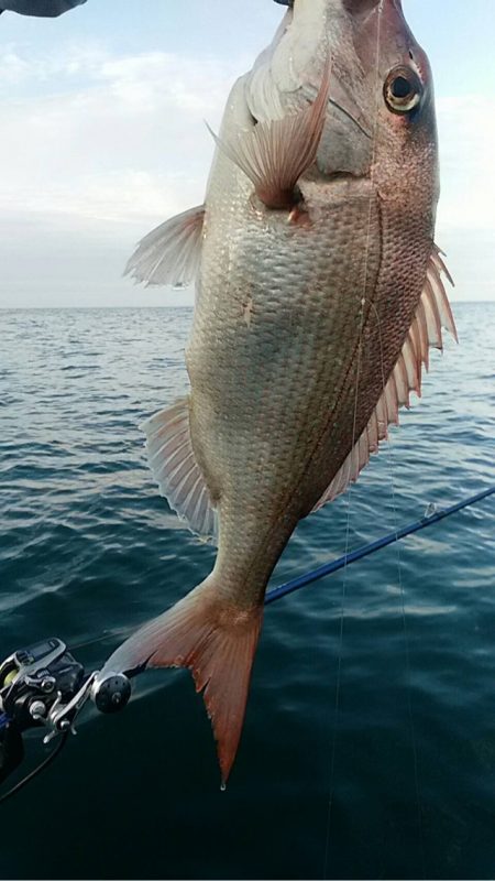 宝昌丸 釣果