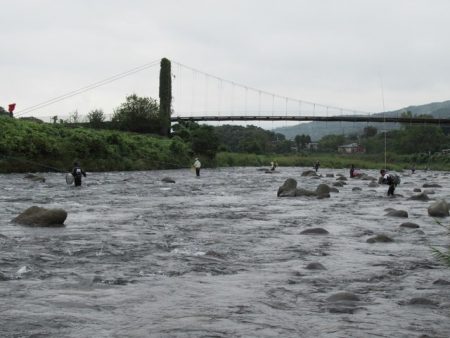 狩野川（狩野川漁業協同組合） 釣果