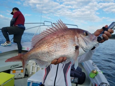 遊漁船　ニライカナイ 釣果