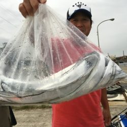ミタチ丸 釣果