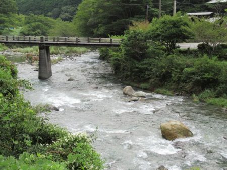 狩野川(狩野川漁業協同組合) 釣果